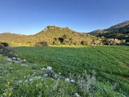 Marmaris - Söğüt Satılık Arsa