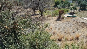 Marmaris - Söğüt Satılık Arsa