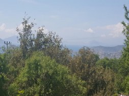 Marmaris - Söğüt Satılık Arsa