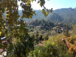 Marmaris - Orhaniye Satılık Arsa