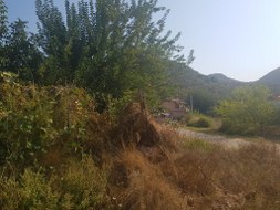 Marmaris - Taşlıca Satılık Arsa