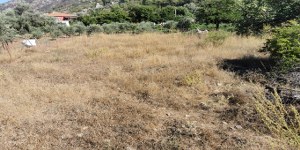 Marmaris - Turgut Satılık Arsa