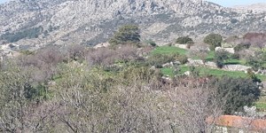 Marmaris - Söğüt Satılık Arsa