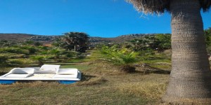 Ula - Çıtlık Satılık Arsa