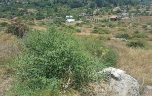 Marmaris - Bayır Satılık Arsa