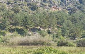 Marmaris - Bayır Satılık Arsa