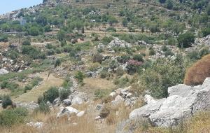 Marmaris - Taşlıca Satılık Arsa