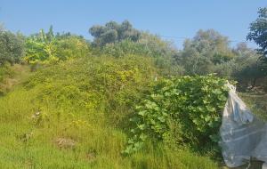 Menteşe - Akkaya Satılık Arsa