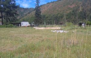 Marmaris - Söğüt Satılık Arsa