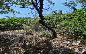 Marmaris - Bayır Satılık Arsa