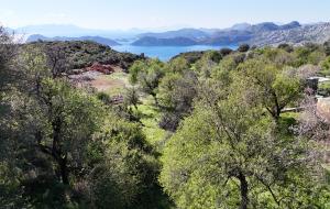 Marmaris - Söğüt Satılık Arsa