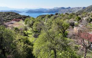 Marmaris - Söğüt Satılık Arsa