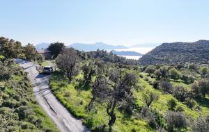 Marmaris - Orhaniye Satılık Arsa