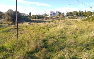 Marmaris - Söğüt Satılık Arsa