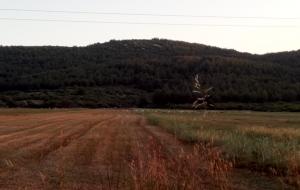 Ula  - Karabörtlen Satılık Arsa