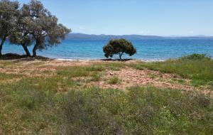 Menteşe  - Kıran Satılık Arsa