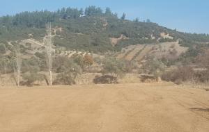 Menteşe  - Kozağaç Satılık Arsa