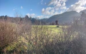 Ula - Portakallık Satılık Arsa