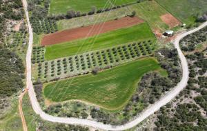 Menteşe - Gülağzı Satılık Arsa