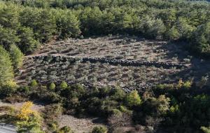 Ula  - Armutcuk  Satılık Arsa