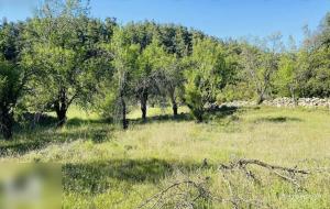 Menteşe  - Kıran Satılık Arsa