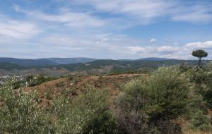 Menteşe  - Yerkesik Satılık Arsa