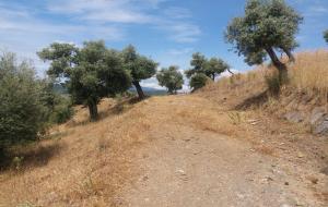 Menteşe - Yerkesik Satılık Arsa