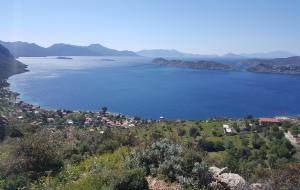 Marmaris - Söğüt Satılık Arsa