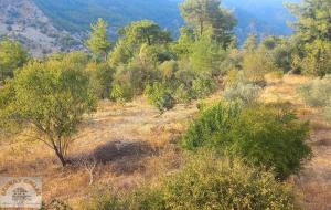 Dalaman  - Bozbel  Satılık Arsa