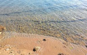 Menteşe  - Kuyucak Satılık Arsa