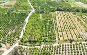 Köyceğiz - Toparlar  Satılık Arsa