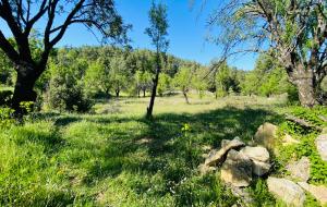 Menteşe  - Kıran Satılık Arsa