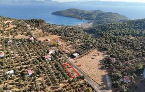 Menteşe  - Zeytin  Satılık Arsa