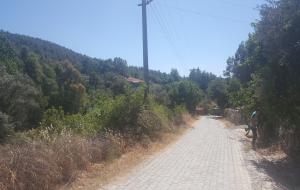 Ula  - Çıtlık  Satılık Arsa